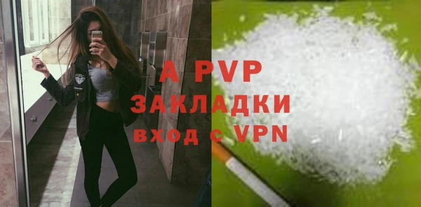 ПСИЛОЦИБИНОВЫЕ ГРИБЫ Михайловка