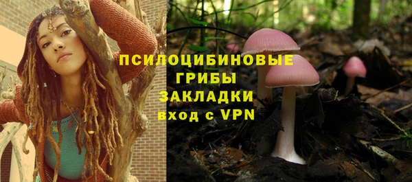 ПСИЛОЦИБИНОВЫЕ ГРИБЫ Михайловка