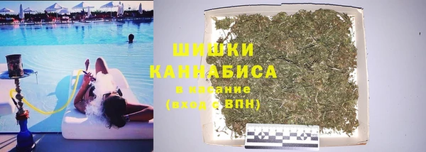прущие грибы Михайлов