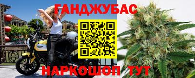 гидра Берёзовский