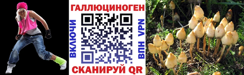 Галлюциногенные грибы мицелий  купить наркоту  площадка какой сайт  Краснотурьинск 