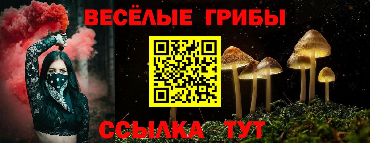 Галлюциногенные грибы мицелий Краснотурьинск