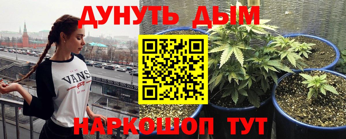 Краснотурьинск  Канабис VHQ  Вход с VPN  Бошки марихуана White Widow  Бошки марихуана SATIVA & INDICA  Каннабис Ganja 